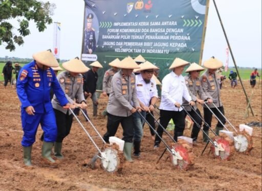 Kabaharkam Polri Pimpin Penanaman Jagung di Indramayu