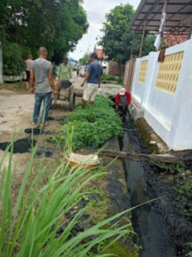 Kompak, Masyarakat Desa Bulak Kidul Giat Gotong Royong Kuras Selokan yang Dangkal