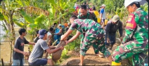 TNI Bersama Masyarakat Bergotong Royong Benahi Tanggul Sungai Cimanuk