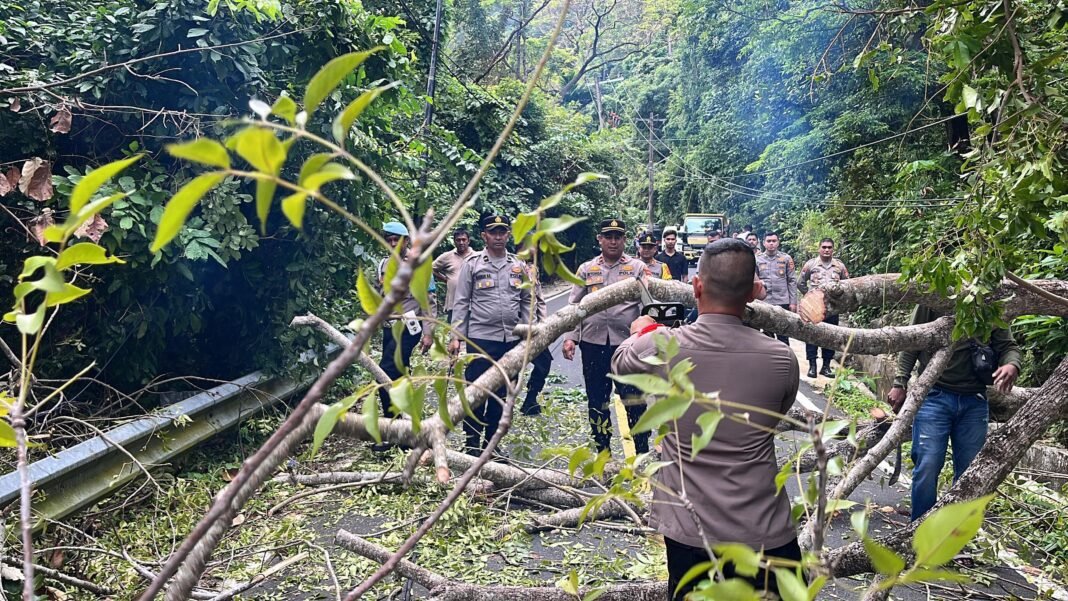 Kapolres Sabang Turun Langsung Evakuasi Pohon Tumbang Di Jalan Tanjakan Gapang | Kompas.SBS.-News