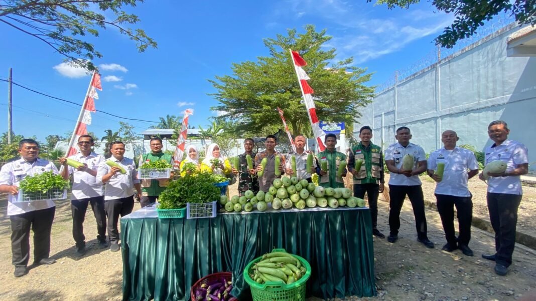 Dukung Ketahanan Pangan Nasional : Lapas Meulaboh Ikuti Panen Raya Serentak Kemenimipas | Kompas.SBS.-News