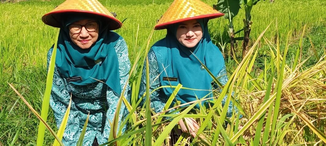 Tegaskan Komitmen Kemandirian Pangan dan Kesejahteraan Keluarga | Kompas.SBS.-News