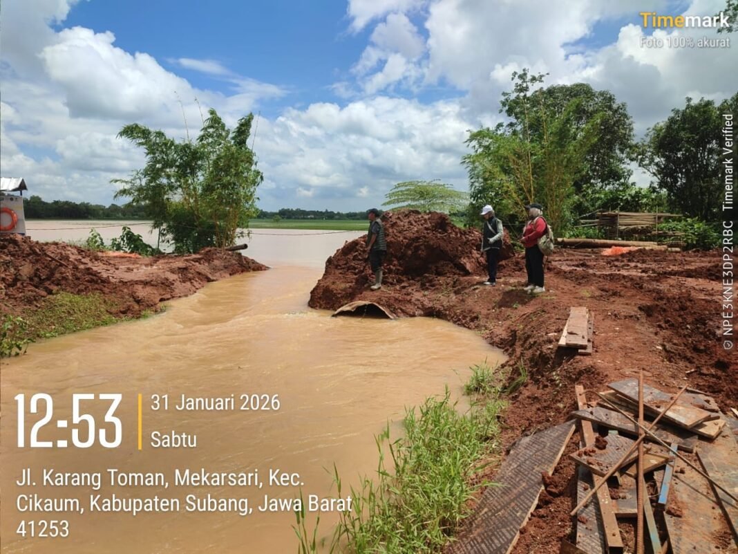 Petani Wilayah Cikaum Meradang Sawahnya Tergenang Banjir Mengakibatkan Gagal Panen