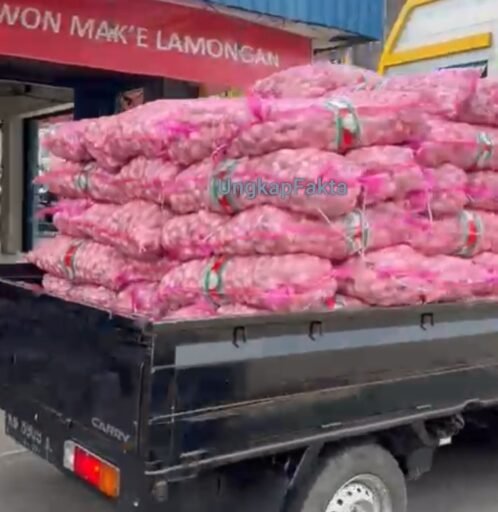 Dikota Pontianak, bawang Putih Ilegal Bebas Keluar Masuk