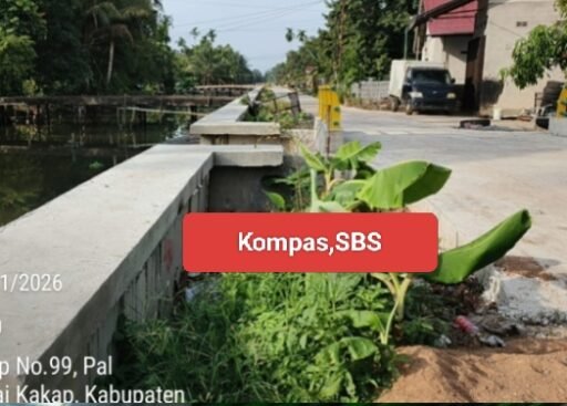 Proyek Perkuatan Tebing Sungai Jawi : Turap Klir, Timbunan Sudah Full