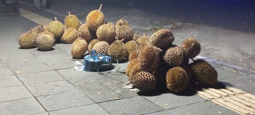 Sabang Menyala oleh Aroma Durian Aceh | Kompas.sbs.-News