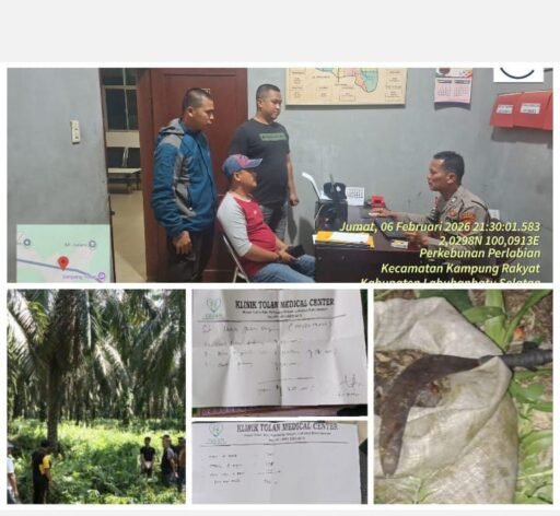 Terkait Pencurian Brondolan di PT. Tolan Estate Yang Sempat Viral, Ini Kronologinya