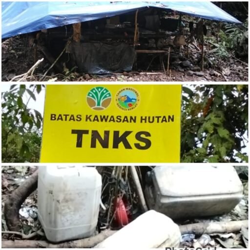 Aktivitas Kian Masif — PHBN Desak Gakkum KLHK Pusat Turun Tangan | Kompas.sbs.-News