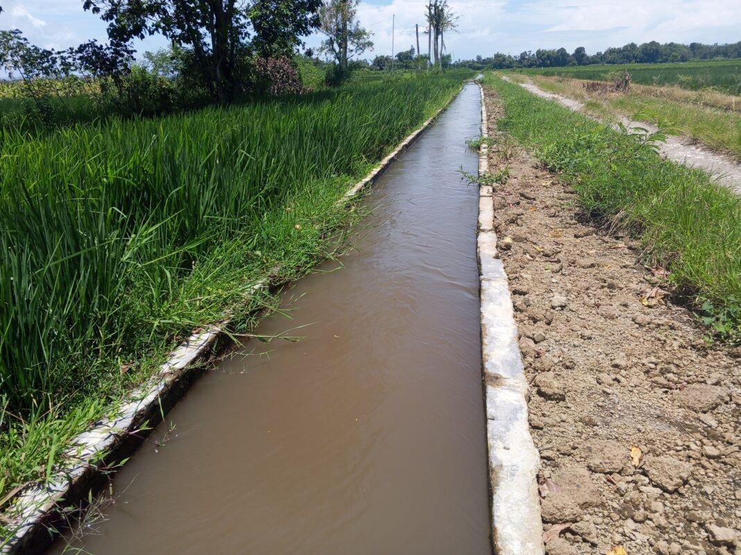 Usai Dikeluhkan Warga, Saluran Tersier Dusun Krajan Kini Kembali Normal