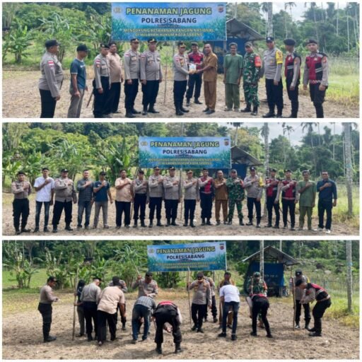 Polres Sabang Tanam Jagung Pipil, Wujud Implementasi Ketahanan Pangan POLRI | Kompas SBS.-News