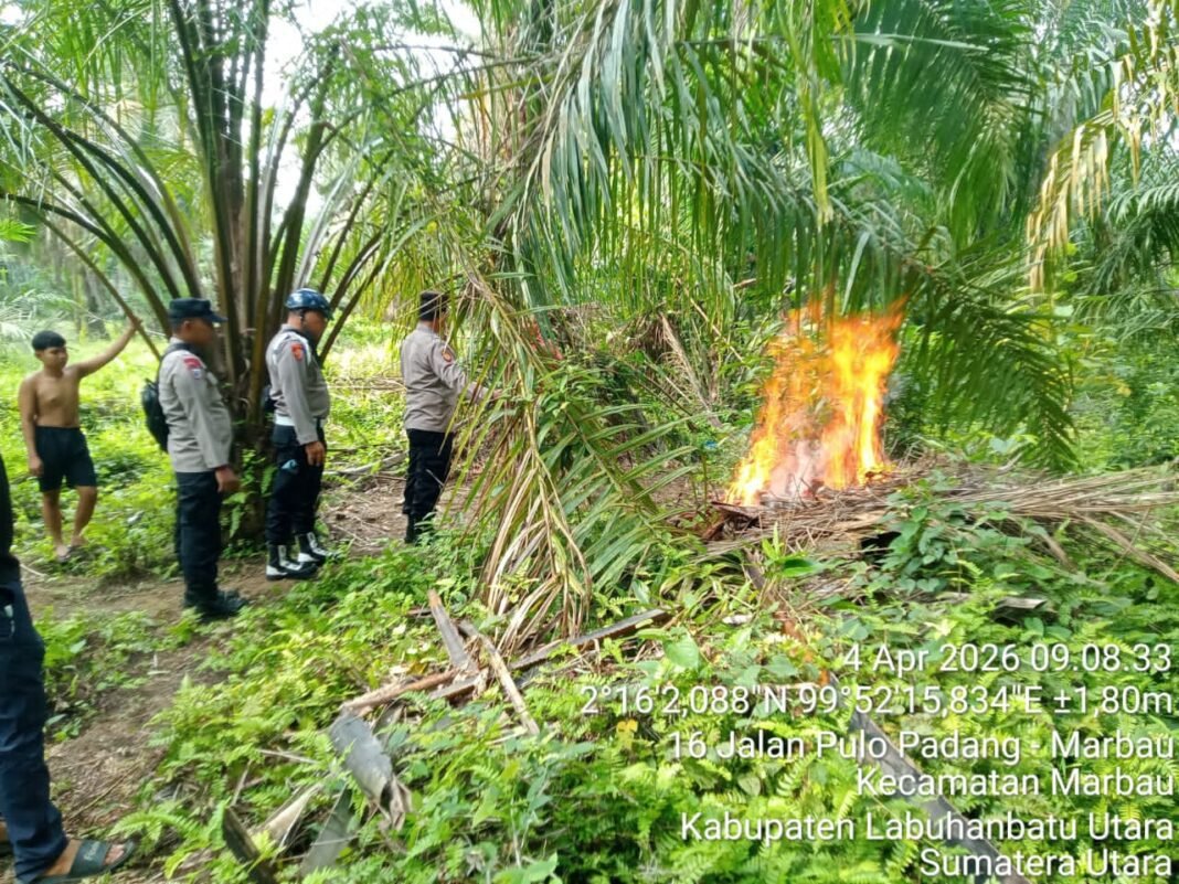 Respon Cepat Laporan Masyarakat, Polsek Marbau Langsung Bertindak Berantas Peredaran Narkoba