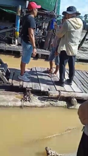 Tambang Liar Dihentikan, Nama DPC APRI Sanggau Disalahgunakan Penambang Diminta Masuk Sistem Resmi RMC