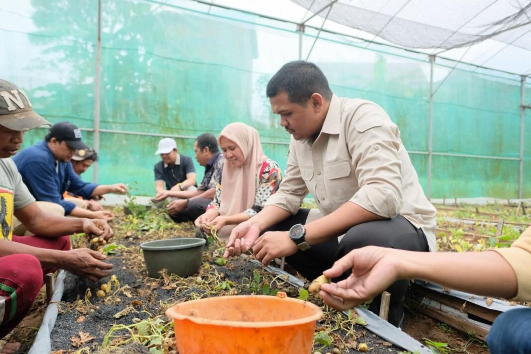 Pemkab Bantaeng Perkuat Ketahanan Pangan Lewat Distribusi Benih Unggul