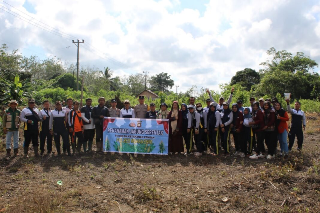 Polsek Rambang Niru Tanam Jagung, Wujud Nyata Ketahanan Pangan yang Berkelanjutan Polsek Rambang Niru Tanam Jagung, Wujud Nyata Ketahanan Pangan yang Berkelanjutan