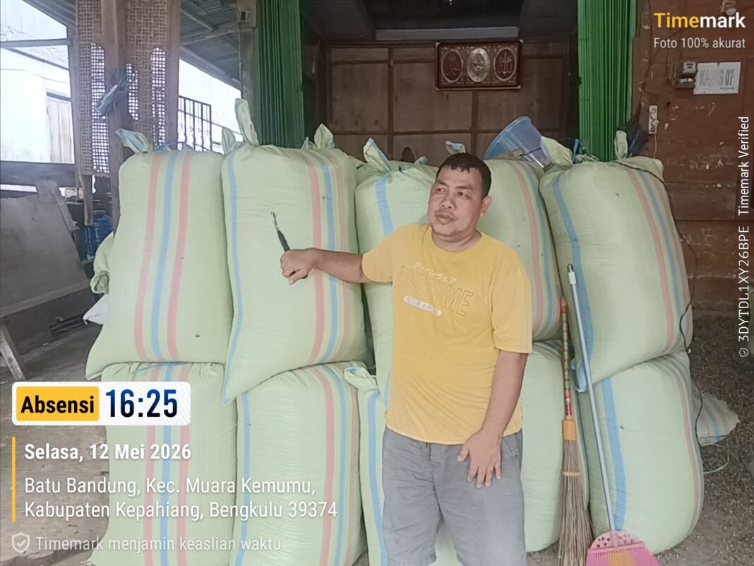 Tak Andalkan Gaji Kadus, Wiwit Putra Arebas Batu Bandung Sukses Jual Kopi Tembus Lampung Rp53 Ribu/Kg* Tak Andalkan Gaji Kadus, Wiwit Putra Arebas Batu Bandung Sukses Jual Kopi Tembus Lampung Rp53 Ribu/Kg*