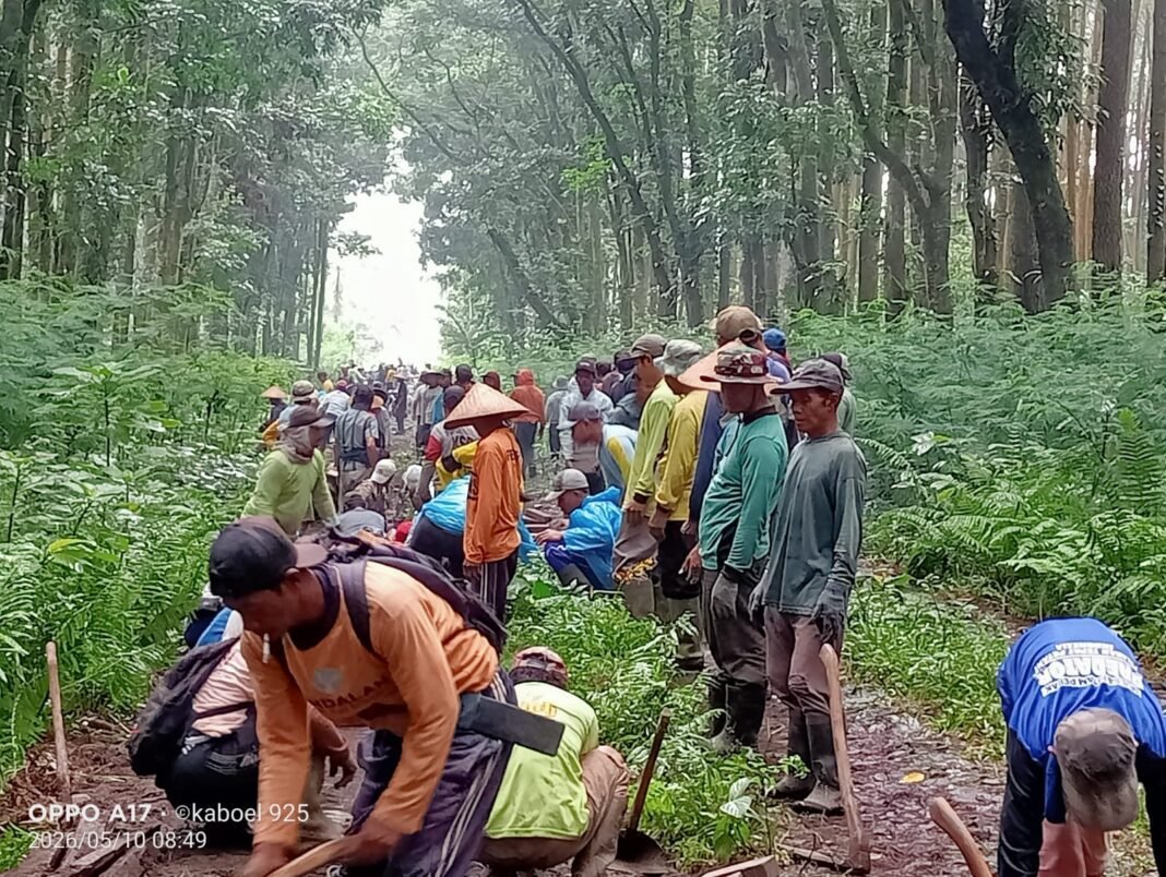 Semangat Kebersamaan Menggema di Sidomulyo, Jalan Tani Dibangun Secara Swadaya Semangat Kebersamaan Menggema di Sidomulyo, Jalan Tani Dibangun Secara Swadaya