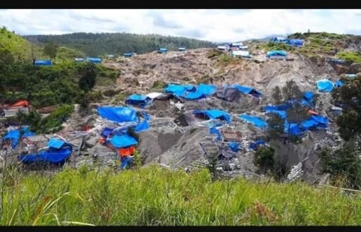 LSM LEP Dukung Langkah Gubernur Hendrik Lewerissa, Lingkungan Gunung Botak Perlu Diselamatkan LSM LEP Dukung Langkah Gubernur Hendrik Lewerissa, Lingkungan Gunung Botak Perlu Diselamatkan