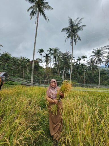 Alumni FP USK Kota Sabang Kutuk Brutal Pembakaran Gedung dan Laboratorium Fakultas Pertanian USK | Alumni FP USK Kota Sabang Kutuk Brutal Pembakaran Gedung dan Laboratorium Fakultas Pertanian USK |