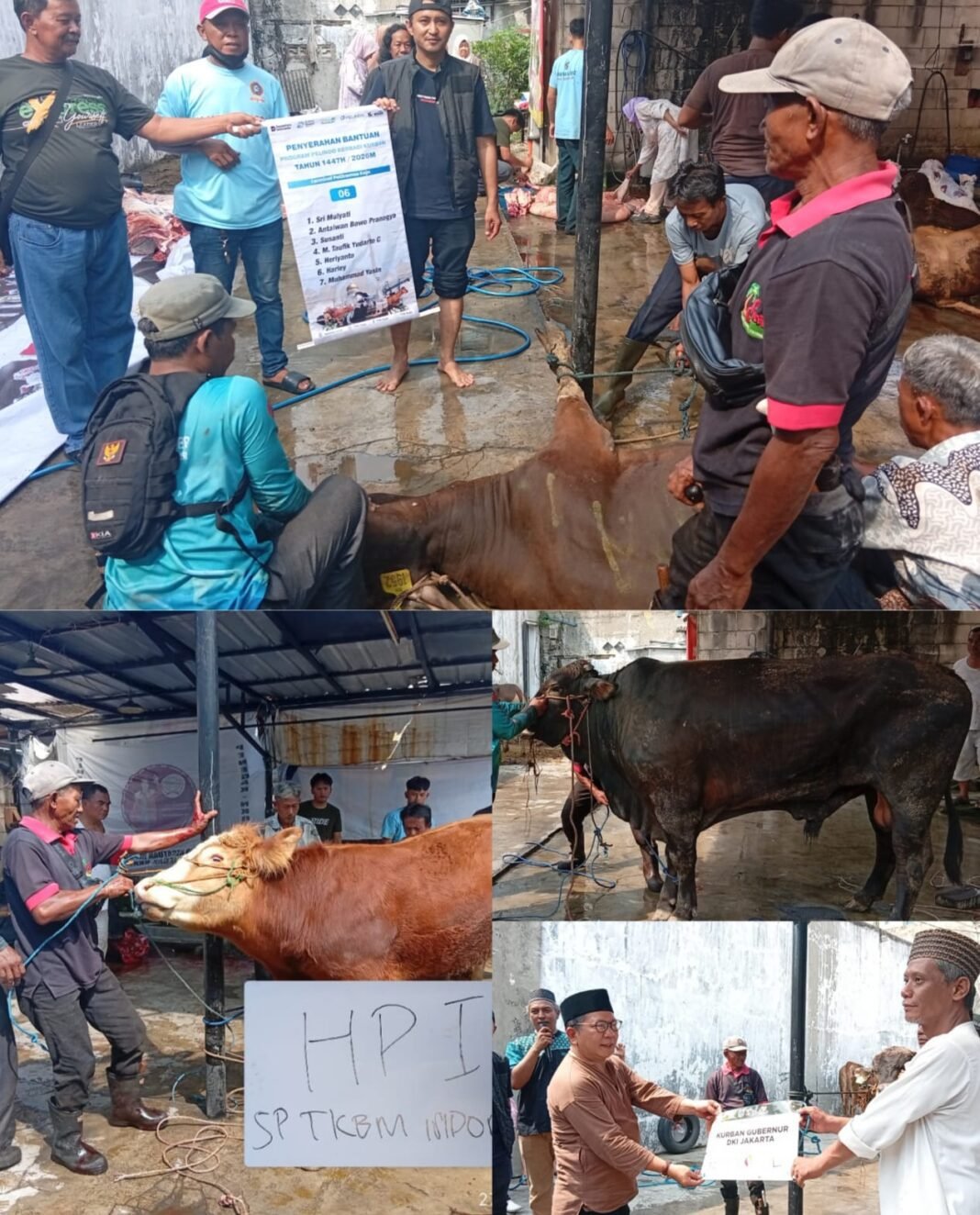 Syukuran 3 Windu SP TKBM: Berbagi Rezeki Qurban dan Langkah Nyata Peningkatan SDM Anggota Syukuran 3 Windu SP TKBM: Berbagi Rezeki Qurban dan Langkah Nyata Peningkatan SDM Anggota