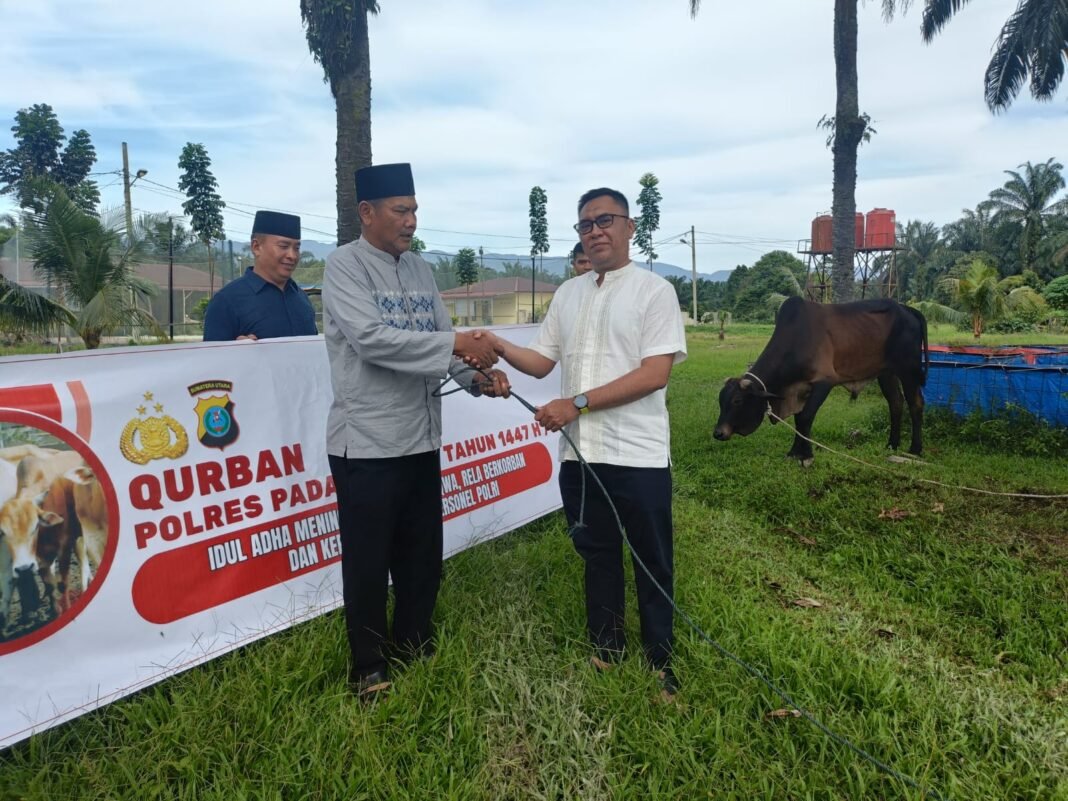 Momentum Idul Adha, Polres Palas Sembelih 7 Ekor Sampai dan 1 Ekor Kambing Momentum Idul Adha, Polres Palas Sembelih 7 Ekor Sampai dan 1 Ekor Kambing