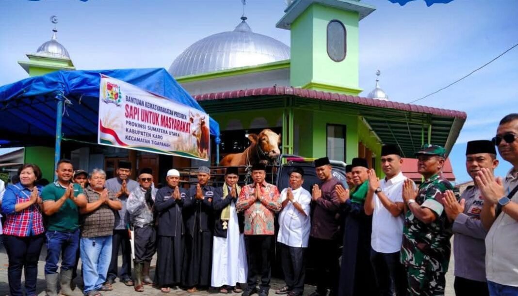 BUPATI KARO SERAHKAN HEWAN QURBAN BANTUAN PRESIDEN RI UNTUK MASYARAKAT DI MASJID AL MUNAWARAH BUPATI KARO SERAHKAN HEWAN QURBAN BANTUAN PRESIDEN RI UNTUK MASYARAKAT DI MASJID AL MUNAWARAH