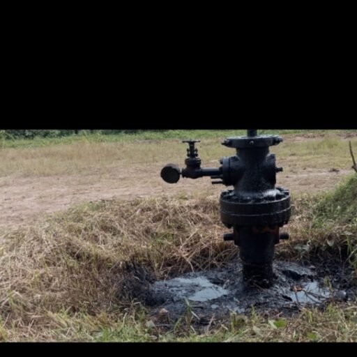 Diduga limbang dikelola yang baik Diduga limbang dikelola yang baik