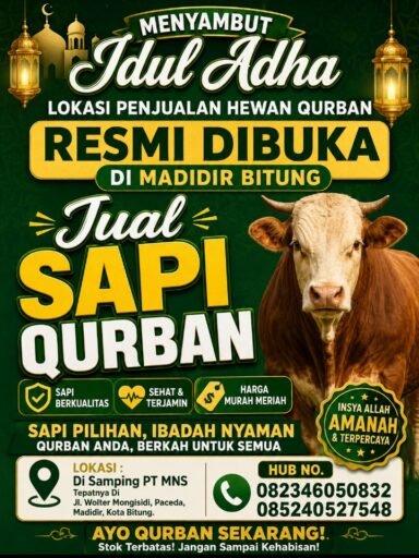 Menyambut Idul Adha, Lokasi Penjualan Hewan Qurban Resmi Dibuka Di Madidir Bitung, Sapi Sehat Dan Murah Menyambut Idul Adha, Lokasi Penjualan Hewan Qurban Resmi Dibuka Di Madidir Bitung, Sapi Sehat Dan Murah