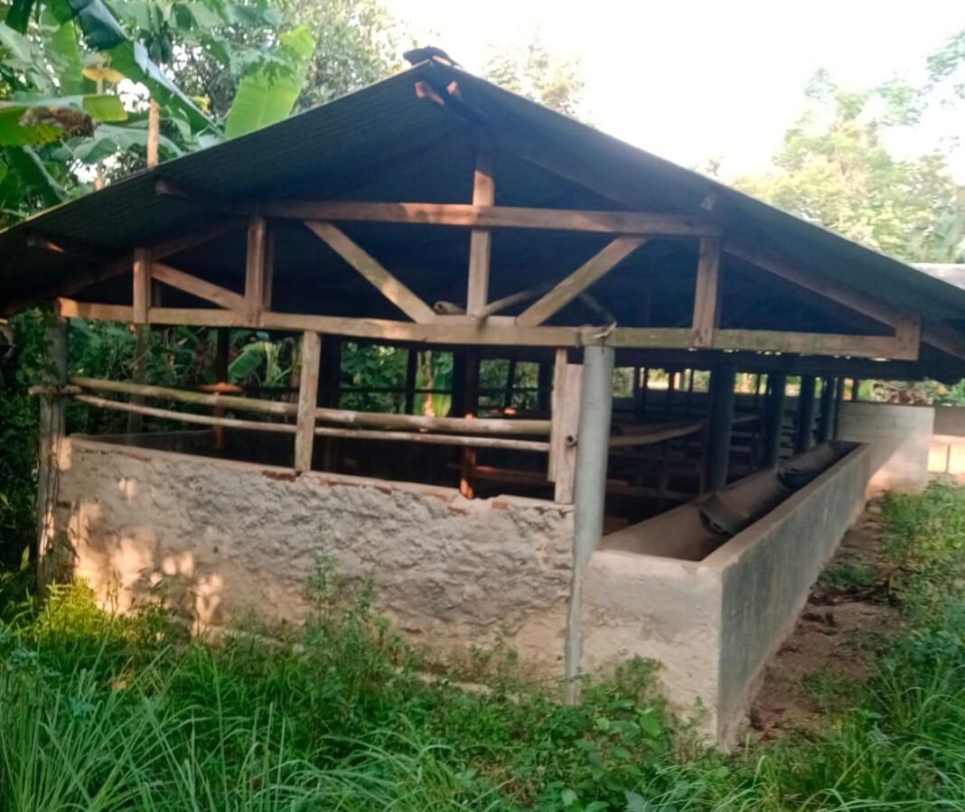 Batuan Sapi Dari DPR RI Tahun 2022,Raib LSM Kompak Subang Ketua Tani Mekarsari 2 Harus Bertanggung jawabb Batuan Sapi Dari DPR RI Tahun 2022,Raib LSM Kompak Subang Ketua Tani Mekarsari 2 Harus Bertanggung jawabb