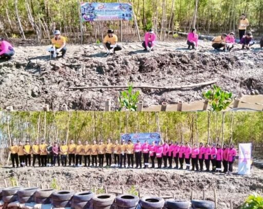 Ketua Persatuan Orang Melayu Mengapresiasi Aksi Nyata Bhayangkari dan Polres Bengkayang Tanam Bibit Mangrove Ketua Persatuan Orang Melayu Mengapresiasi Aksi Nyata Bhayangkari dan Polres Bengkayang Tanam Bibit Mangrove