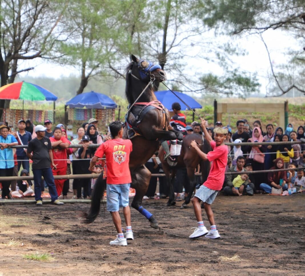 Lebih dari Sekadar Atraksi : Jetis Cup 2026, Jembatan Budaya dan Ekonomi di Pesisir Purworejo Lebih dari Sekadar Atraksi : Jetis Cup 2026, Jembatan Budaya dan Ekonomi di Pesisir Purworejo