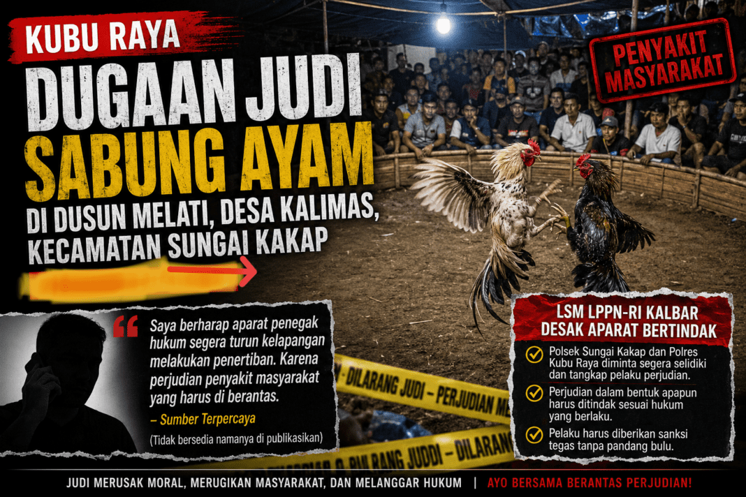 Diduga Judi Sabung Ayam Beroperasi Lama di Sungai Kakap, Aparat Diminta Segera Bertindak Diduga Judi Sabung Ayam Beroperasi Lama di Sungai Kakap, Aparat Diminta Segera Bertindak