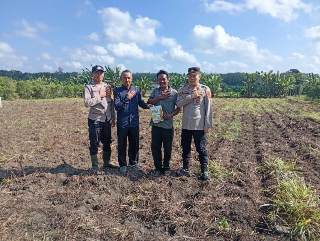 Polsek Gelumbang Tanam Jagung Program Ketahanan Pangan, Dukung Swasembada Pangan Nasional Polsek Gelumbang Tanam Jagung Program Ketahanan Pangan, Dukung Swasembada Pangan Nasional