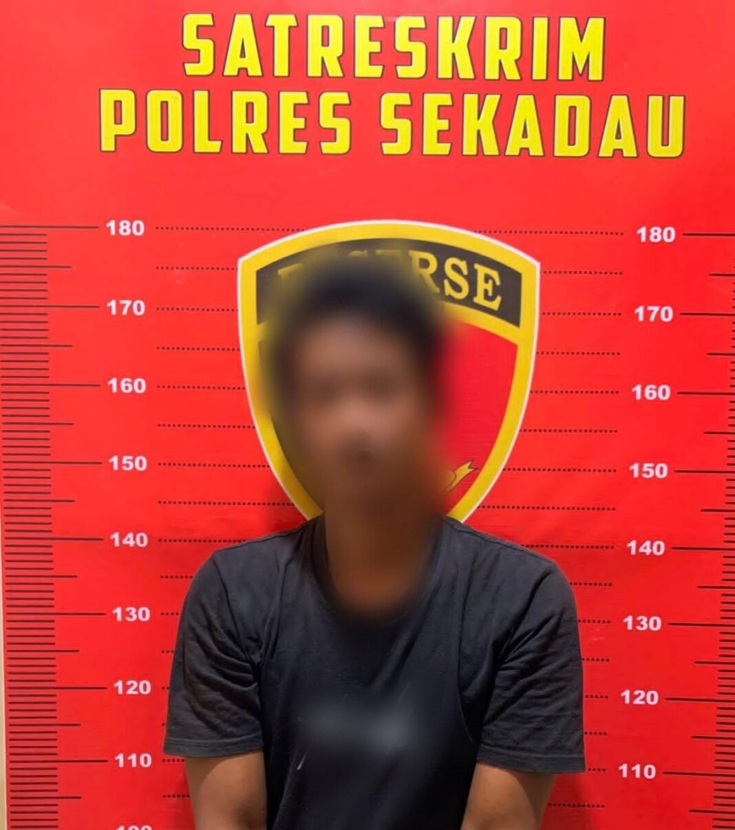 Satreskrim Polres Sekadau berhasil mengungkap kasus pencurian kabel milik PT PLN di Kabupaten Sekadau Satreskrim Polres Sekadau berhasil mengungkap kasus pencurian kabel milik PT PLN di Kabupaten Sekadau