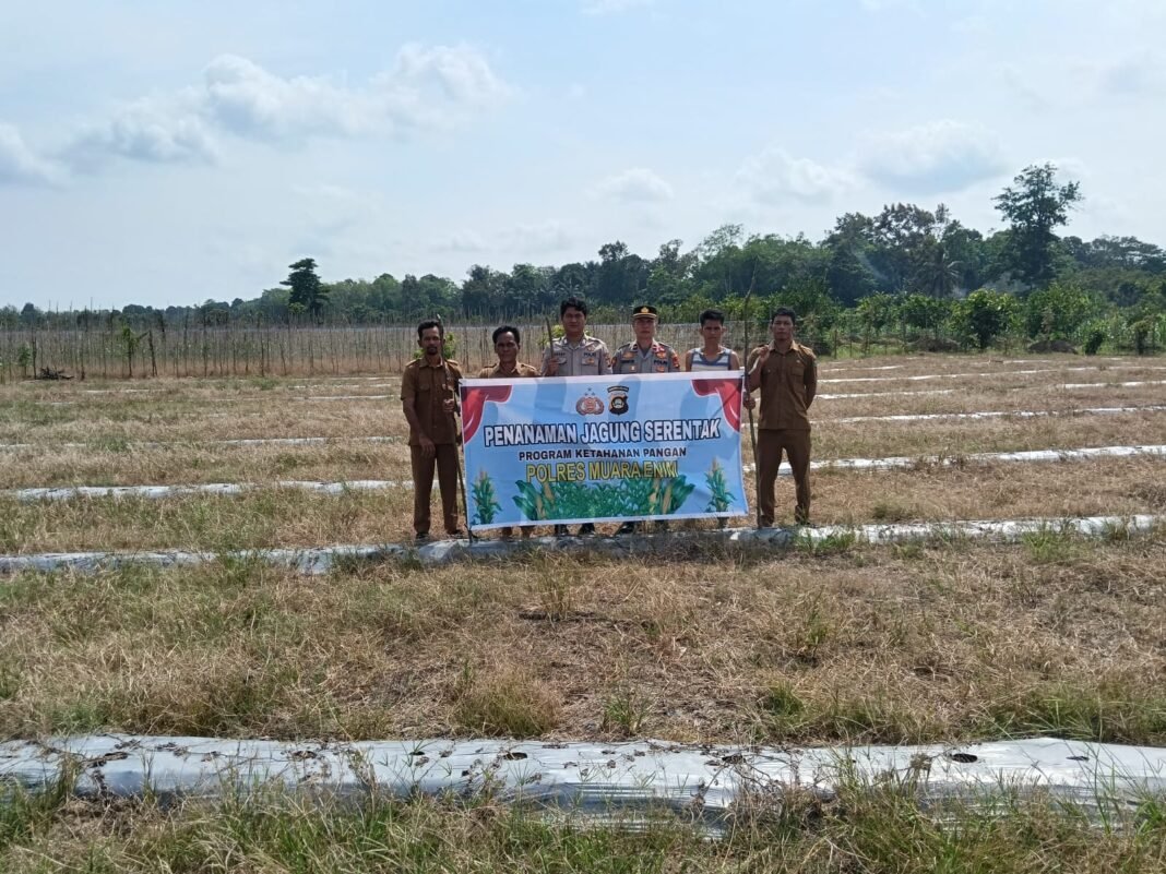Manfaatkan Lahan Kosong, Polsek Rambang Niru Bersama Warga Tanam Jagung Dukung Ketahanan Pangan Nasional Manfaatkan Lahan Kosong, Polsek Rambang Niru Bersama Warga Tanam Jagung Dukung Ketahanan Pangan Nasional