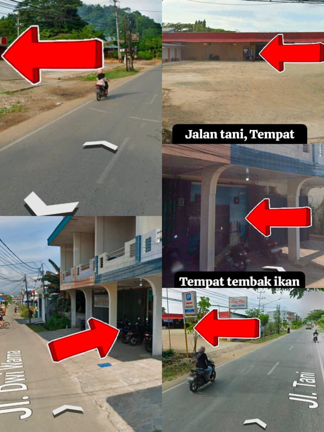 Warga Singkawang Minta Polda Kalbar Tertibkan Dugaan Judi Berkedok Mesin Ketangkasan Ikan Warga Singkawang Minta Polda Kalbar Tertibkan Dugaan Judi Berkedok Mesin Ketangkasan Ikan