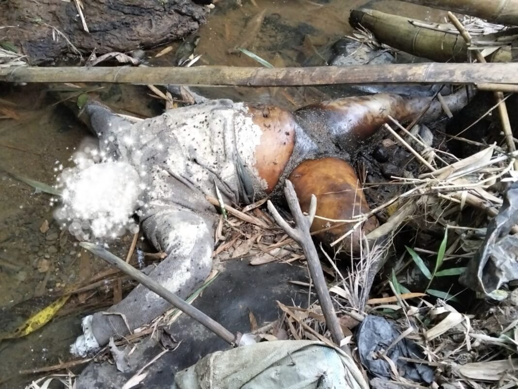 *Warga Kelilik Kepahiang Temukan Mayat Laki-laki di Sungai Ketapang*Â *Warga Kelilik Kepahiang Temukan Mayat Laki-laki di Sungai Ketapang*Â