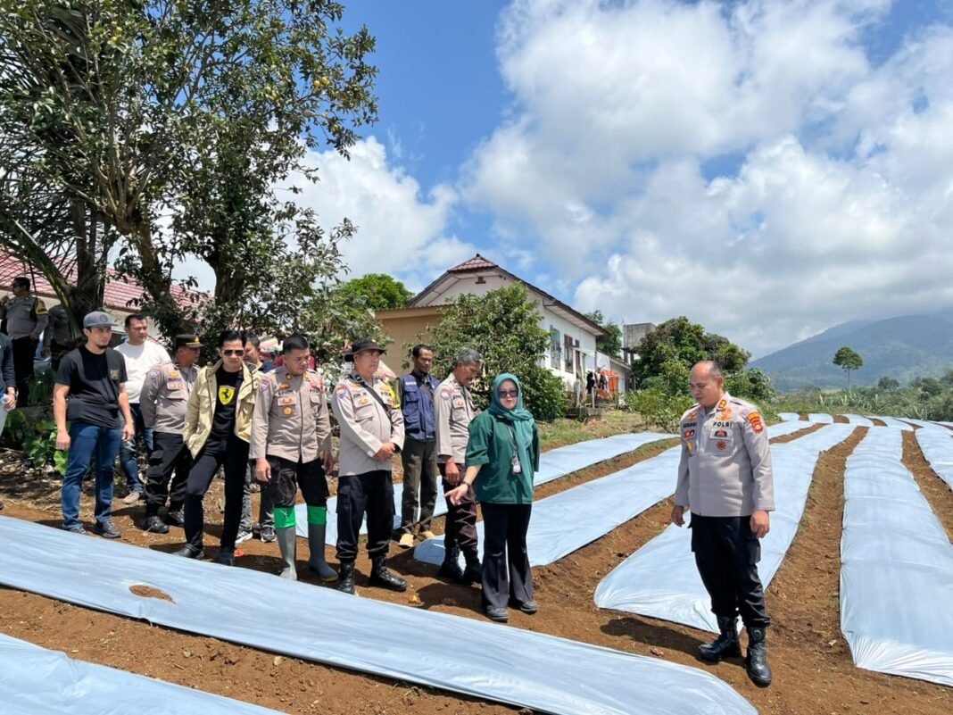 Kapolres Muara Enim Tinjau Lahan Calon Sentra Bawang Putih, Dukung Program Swasembada Pangan 2026 Kapolres Muara Enim Tinjau Lahan Calon Sentra Bawang Putih, Dukung Program Swasembada Pangan 2026
