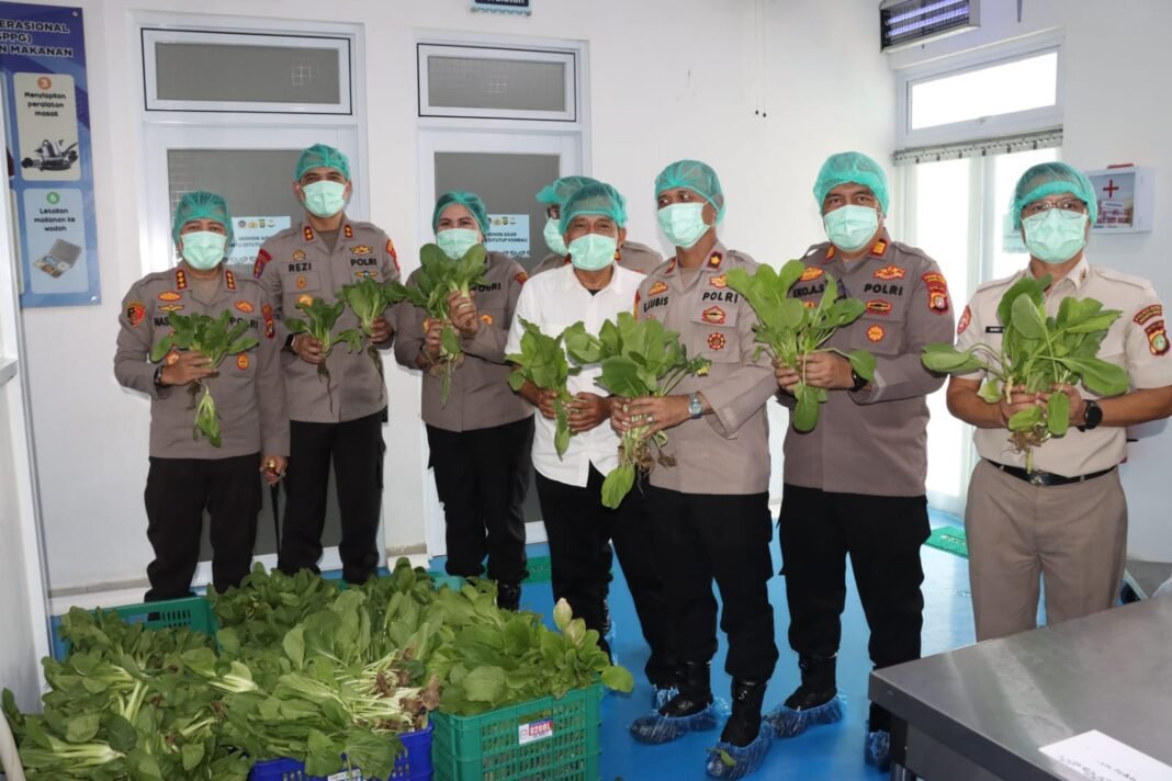 *Polda Metro Jaya Panen 82 Kilogram Pakcoy untuk Dukung Program Makan Bergizi Gratis* *Polda Metro Jaya Panen 82 Kilogram Pakcoy untuk Dukung Program Makan Bergizi Gratis*