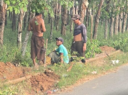 PALI – Keselamatan para pekerja di lokasi proyek vital kembali dipertanyakan. Lembaga PALI – Keselamatan para pekerja di lokasi proyek vital kembali dipertanyakan. Lembaga