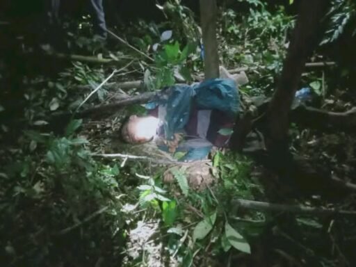 Tragedi di Sungai Sei Lepan! Pria 59 Tahun Tewas Diserang Gajah Tunggal Liar Saat Memancing Tragedi di Sungai Sei Lepan! Pria 59 Tahun Tewas Diserang Gajah Tunggal Liar Saat Memancing
