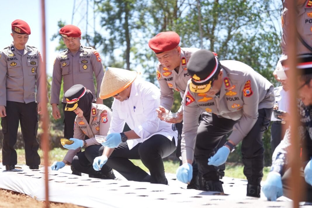 Bupati Bantaeng Bersama Unsur Forkopimda Dampingi Kapolda Ikuti Penanaman Bawang Putih Serentak Bupati Bantaeng Bersama Unsur Forkopimda Dampingi Kapolda Ikuti Penanaman Bawang Putih Serentak