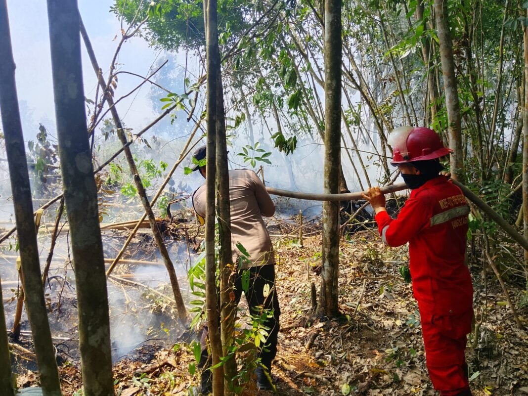 Polsek Gelumbang Bersama Manggala Agni Padamkan Titik Hotspot Karhutla di Desa Gumai Polsek Gelumbang Bersama Manggala Agni Padamkan Titik Hotspot Karhutla di Desa Gumai