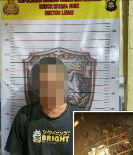Polsek Lubai Berhasil Ungkap Kasus Pencurian Buah Sawit, Satu Pelaku Diamankan dan Satu Masih DPO Polsek Lubai Berhasil Ungkap Kasus Pencurian Buah Sawit, Satu Pelaku Diamankan dan Satu Masih DPO