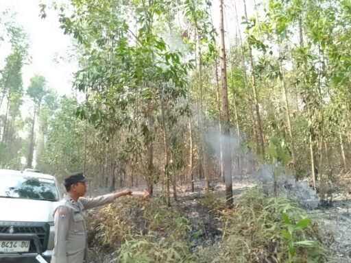 Polsek Gunung Megang Gerak Cepat Cek Hotspot BRIN, Lahan PT MHP Terbakar Polsek Gunung Megang Gerak Cepat Cek Hotspot BRIN, Lahan PT MHP Terbakar