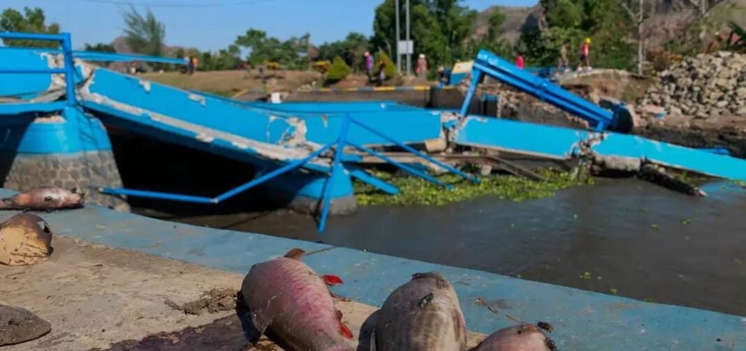Di duga kurang Perawatan Dam Pacar Boyolongu Ambrol,925 Hektare Sawah Terancam Kekuran Air Di duga kurang Perawatan Dam Pacar Boyolongu Ambrol,925 Hektare Sawah Terancam Kekuran Air
