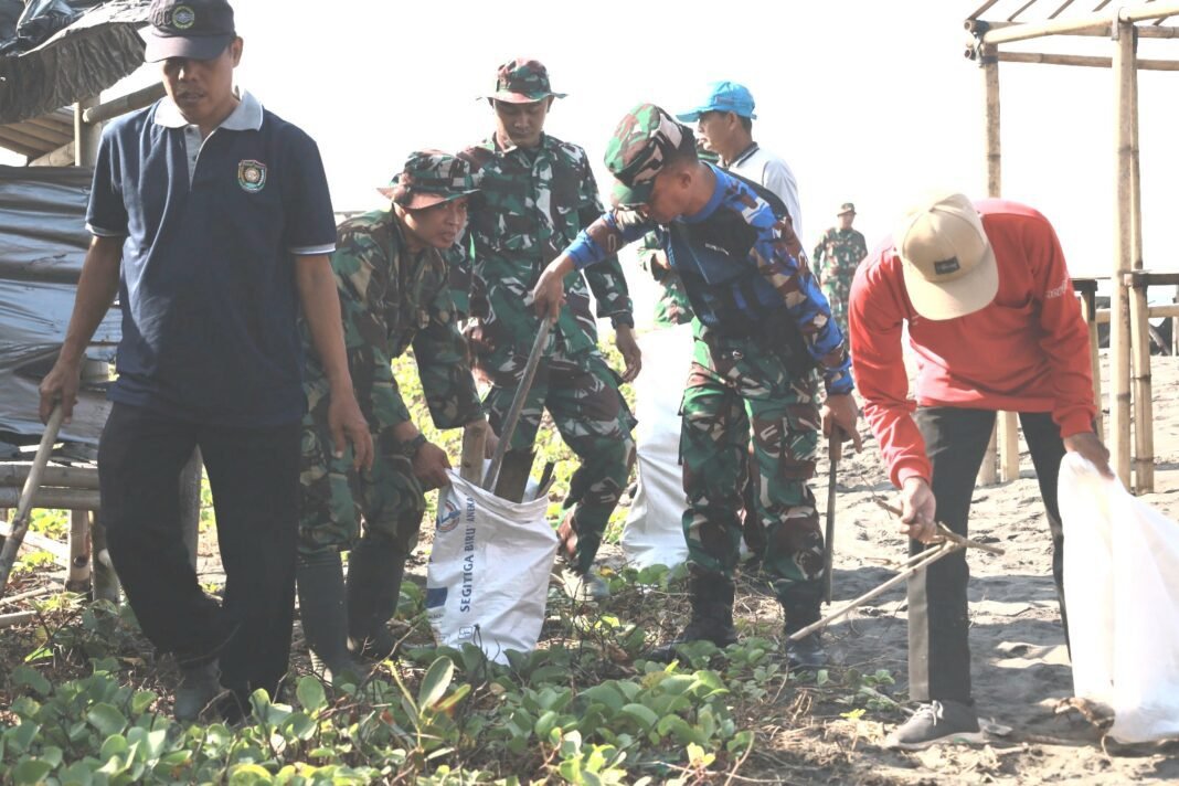 Kodim 0708 Purworejo Gelar Karya Bakti Bersihkan Pantai Jetis Jelang HUT Kodam dan TNI. Kodim 0708 Purworejo Gelar Karya Bakti Bersihkan Pantai Jetis Jelang HUT Kodam dan TNI.