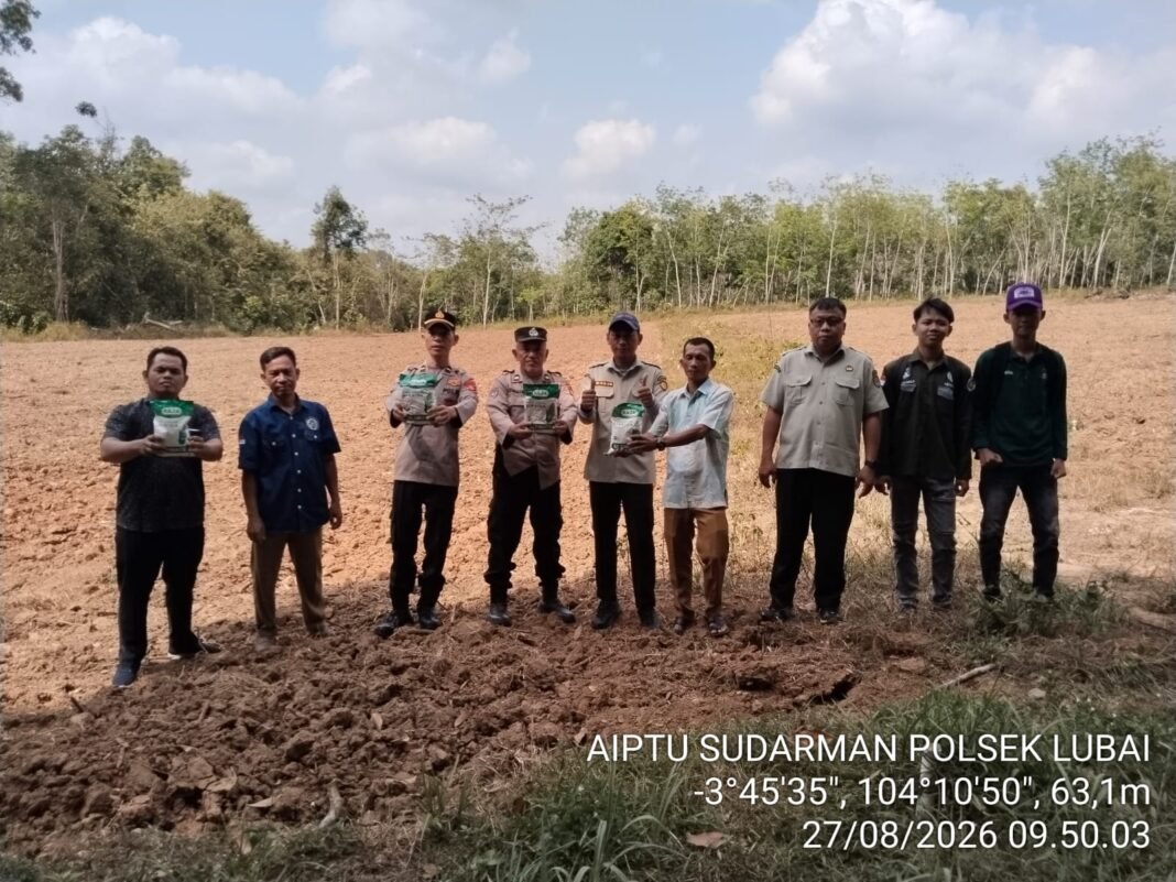 Polsek Lubai Tanam Jagung Kuartal III Bersama Kelompok Tani Karang Makmur Polsek Lubai Tanam Jagung Kuartal III Bersama Kelompok Tani Karang Makmur