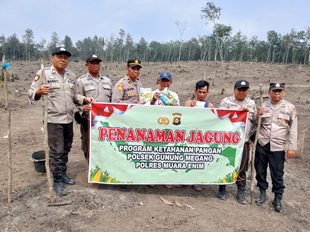 Polres Muara Enim Tancap Gas Perkuat Ketahanan Pangan, 1 Hektare Lahan di PadangBindu Ditanami Jagung Polres Muara Enim Tancap Gas Perkuat Ketahanan Pangan, 1 Hektare Lahan di PadangBindu Ditanami Jagung