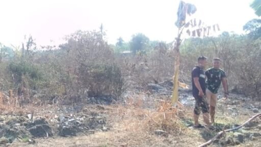 Sinergi Babinsa dan Warga Bontomarannu Berhasil Jinakkan Si Jago Merah di Lahan 1 Hektar Sinergi Babinsa dan Warga Bontomarannu Berhasil Jinakkan Si Jago Merah di Lahan 1 Hektar