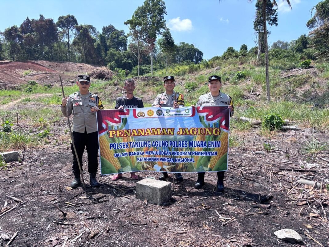 Polres Muara Enim Perkuat Ketahanan Pangan, 1,62 Hektare Lahan di Pandan Dulang Ditanami Jagung Polres Muara Enim Perkuat Ketahanan Pangan, 1,62 Hektare Lahan di Pandan Dulang Ditanami Jagung